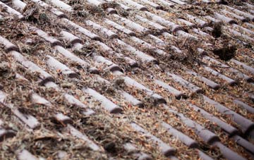 West Third roof cleaning companies