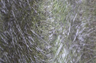 West Third fibreglass roof work